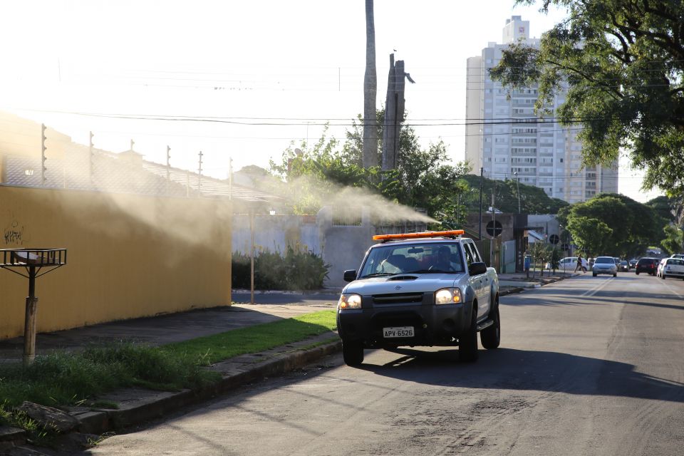 Sarandi contra a dengue