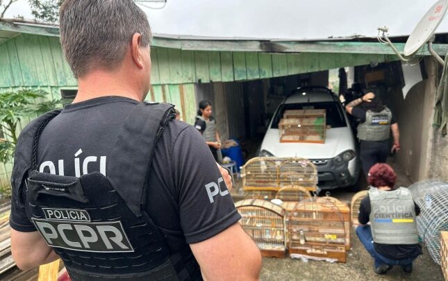 Polícia faz operação contra o tráfico de animais silvestres